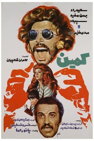 Poster Ambush (1975)