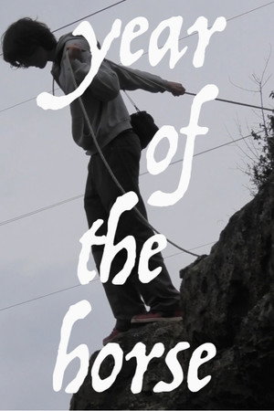 Year of the Horse (2026)