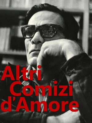 Altri Comizi d'Amore 5