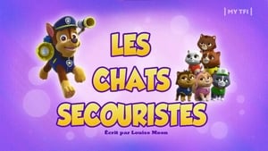 Paw Patrol Helfer auf vier Pfoten: 5×1