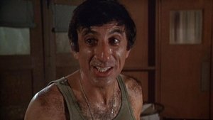 M*A*S*H: Season9 – Episode11