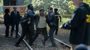 Barron s Cove (2025)