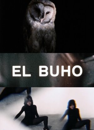 El búho poster