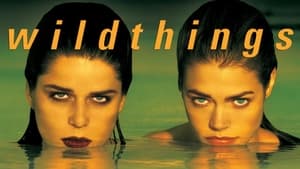 ดูหนัง Wild Things (1998) เกมซ่อนกล