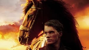 War Horse / საბრძოლო ცხენი