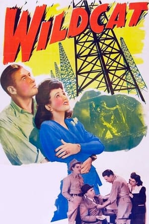 Poster Wildcat 1942