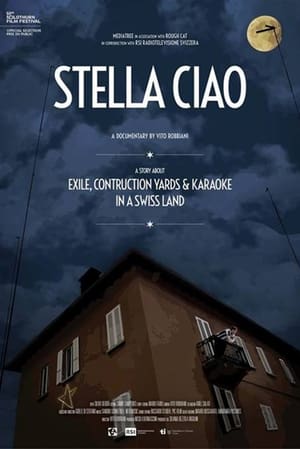 Poster Stella ciao 2015