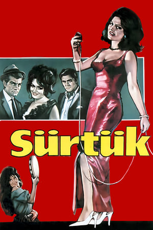 Poster Bitch (1965)