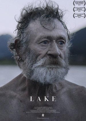 Poster Lake (2014)