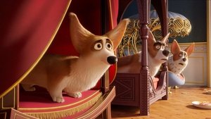 Corgi, las mascotas de la reina