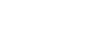 Section spéciale — logo