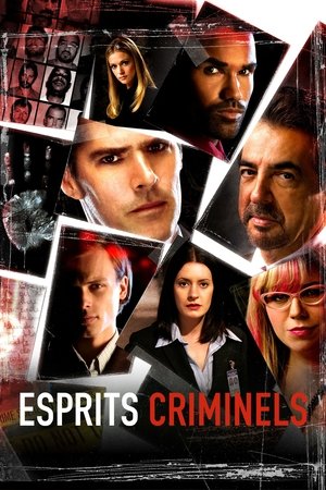 Esprits criminels cover