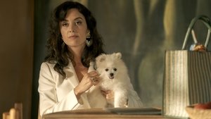 Fall for Me (2025) ลวงรักทรยศ