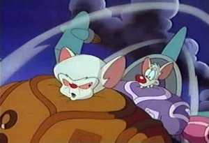 Pinky & der Brain: 1×15