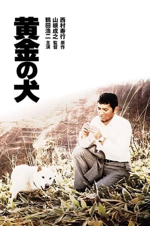 Poster 黄金の犬 1979