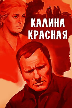 Poster Калина Красная 1974