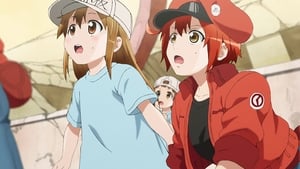 Cells at Work!: 1×10