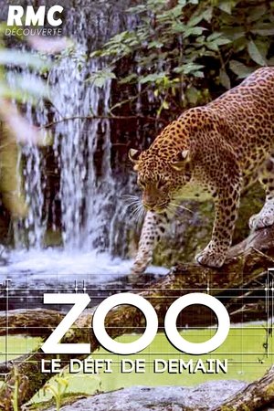 Image Zoo : le défi de demain