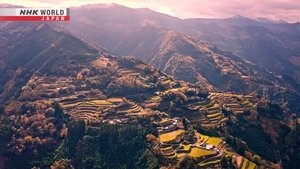 Journeys in Japan: 16×1