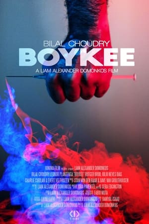 Poster di Boykee