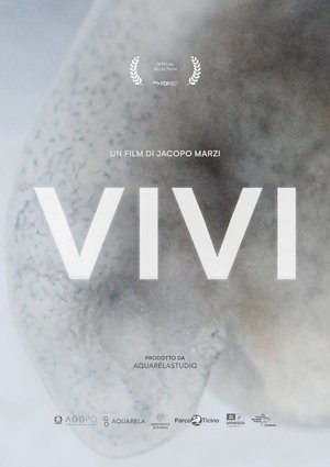 Nonton film VIVI (1970) terbaru sub indo Nonton film VIVI (1970) terbaru sub indo