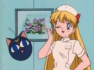 Sailor Moon: 2×32