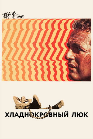 Image Хладнокровный Люк