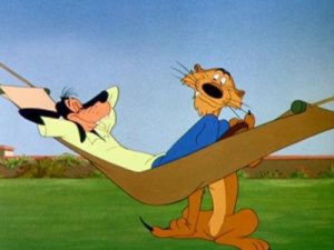 Dingo et le lion
