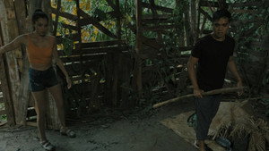 Island 52