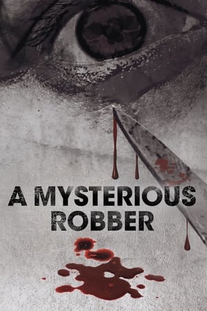 Poster A Mysterious Robber (2012)