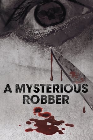 Poster A Mysterious Robber 2012