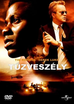 Poster Tűzveszély 2006