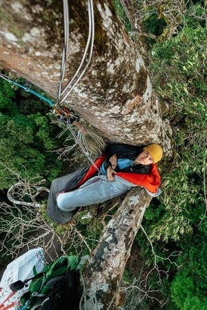 Image Canopy Climbers