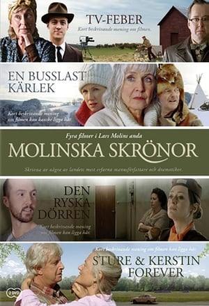 Poster Den ryska dörren (2010)