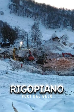 Poster Rigopiano: voci dal gelo 2018