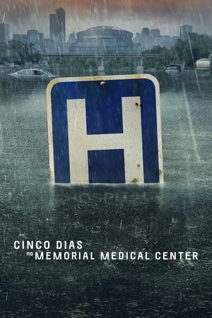 Image Cinco Dias no Memorial Medical Center