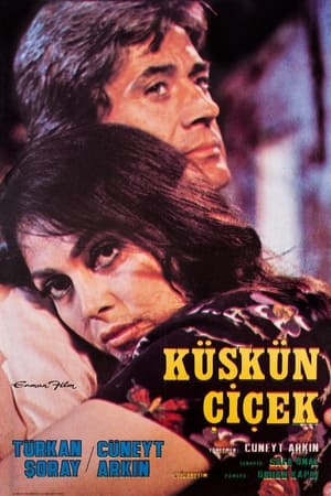 Poster Küskün Çiçek 1979