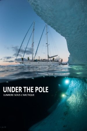 Image Under The Pole : Lumière Sous l'Arctique