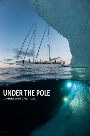 Poster Under The Pole : Lumière Sous l'Arctique 2017