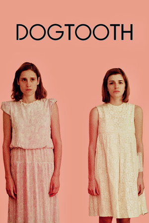 Dogtooth 102
