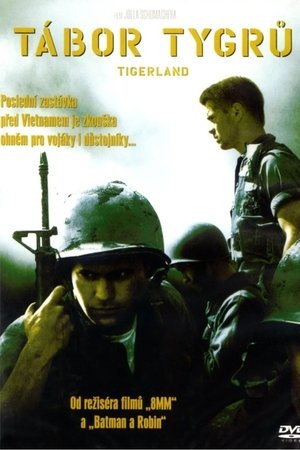 Image Tábor tygrů