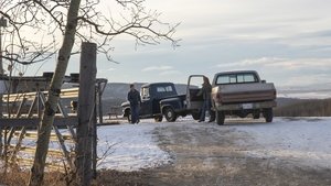 Heartland – Paradies für Pferde: 7×17