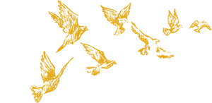A Yellow Bird — Logos 4