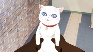 The Masterful Cat Is Depressed Again Today: 1×9