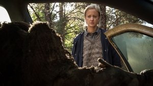 La Maldición Renace (2020) HD 720P LATINO/INGLES