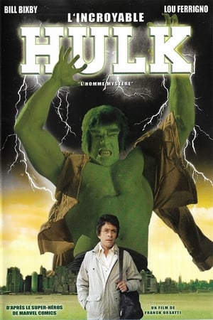 Image L'Incroyable Hulk : L'Homme Mystère