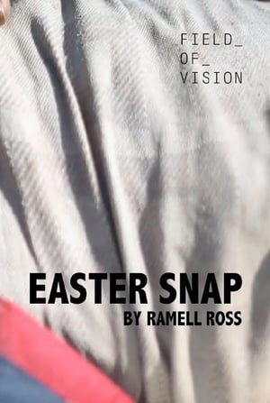 Easter Snap poster