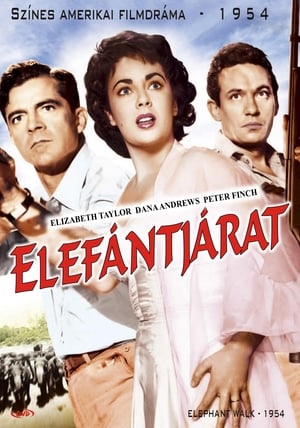 Poster Elefántjárat 1954