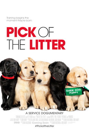 Pick of the Litter 7