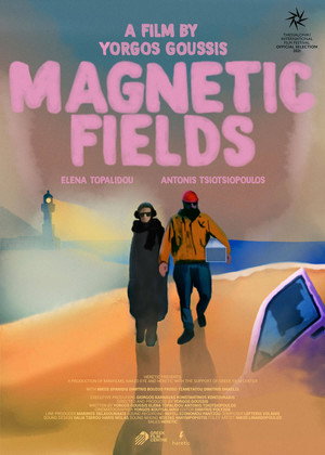 Magnetic Fields 5